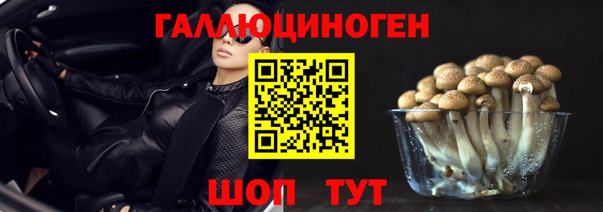 Бийск  Галлюциногенные грибы прущие грибы  Вход с VPN  Галлюциногенные грибы ЛСД 